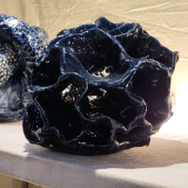 Coral Azul
