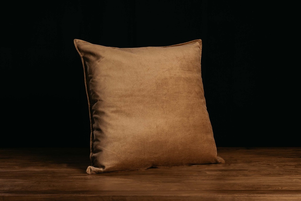 Almohadón Terciopelo 60x60