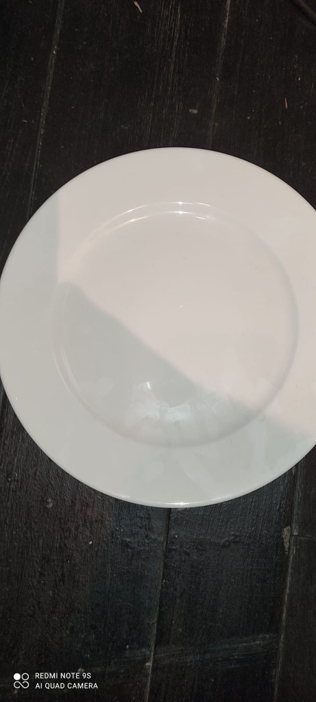 Plato Principal Linea Rak