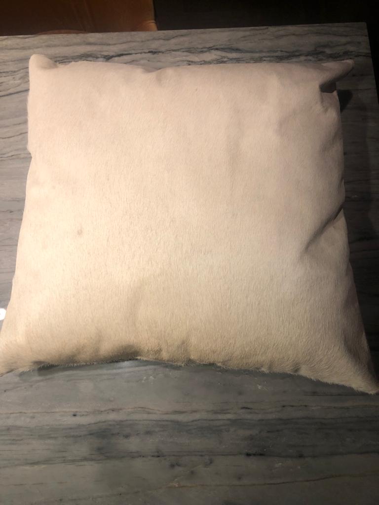 Almohadón Cuadrado Potro