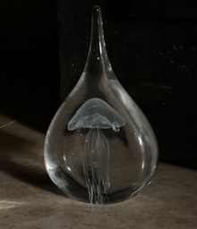 Medusa Bioluminica