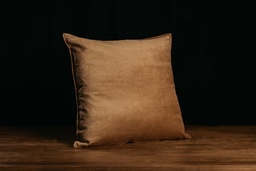 Almohadón Terciopelo 60x60