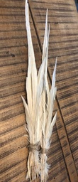 Plumas Aguilas